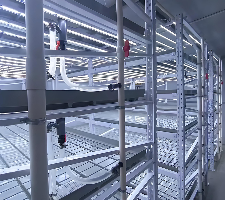 案例-1.jpg 案例-1.jpg